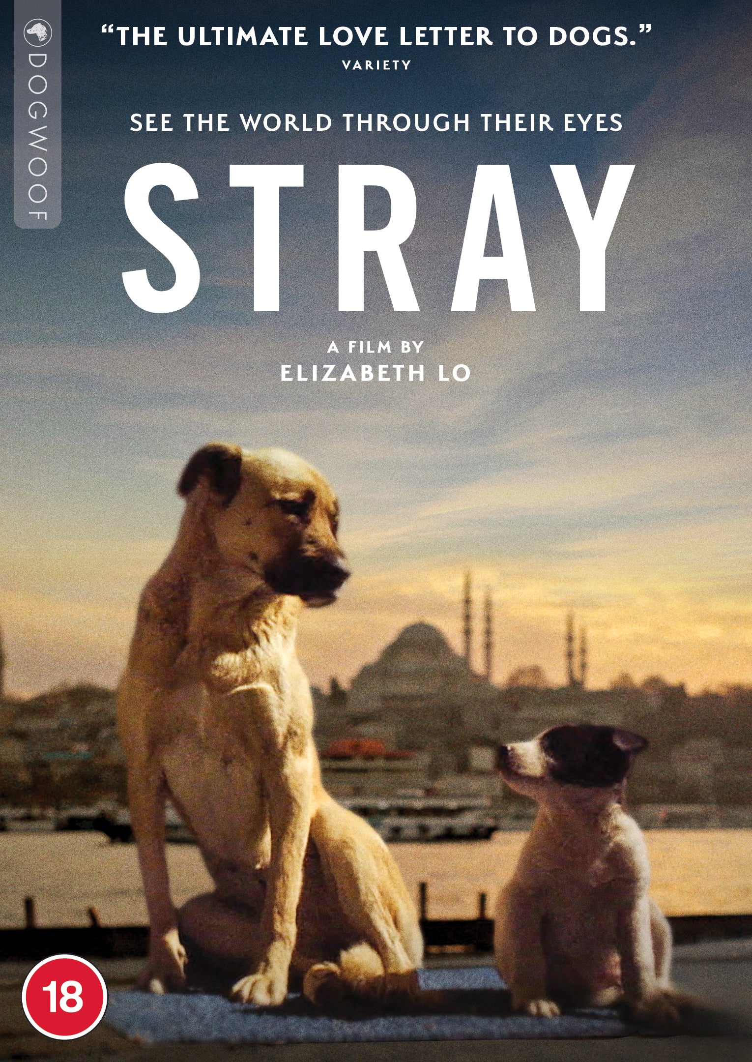 Strays Dvd Target Stray DVD – Dogwoof Shop